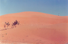 Rote-Wüste-1.jpg